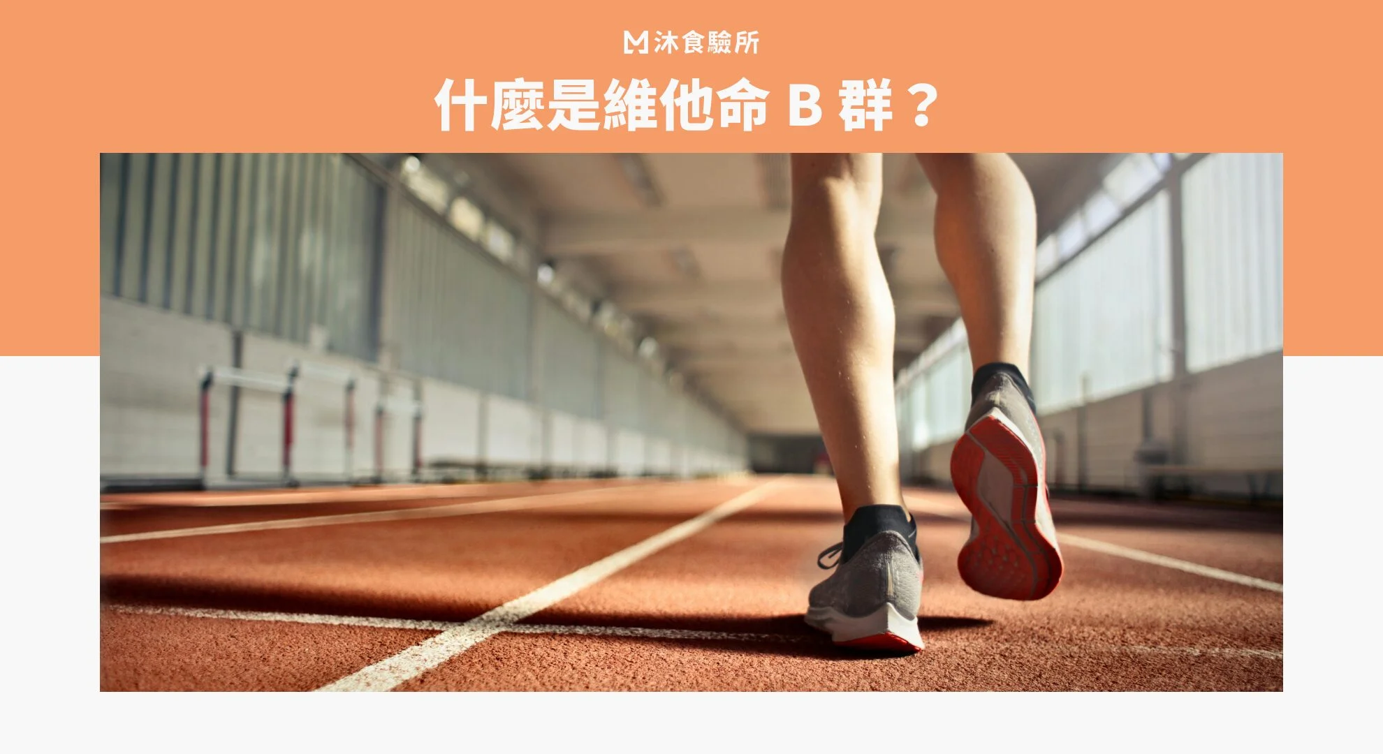 什麼是維他命 B 群？