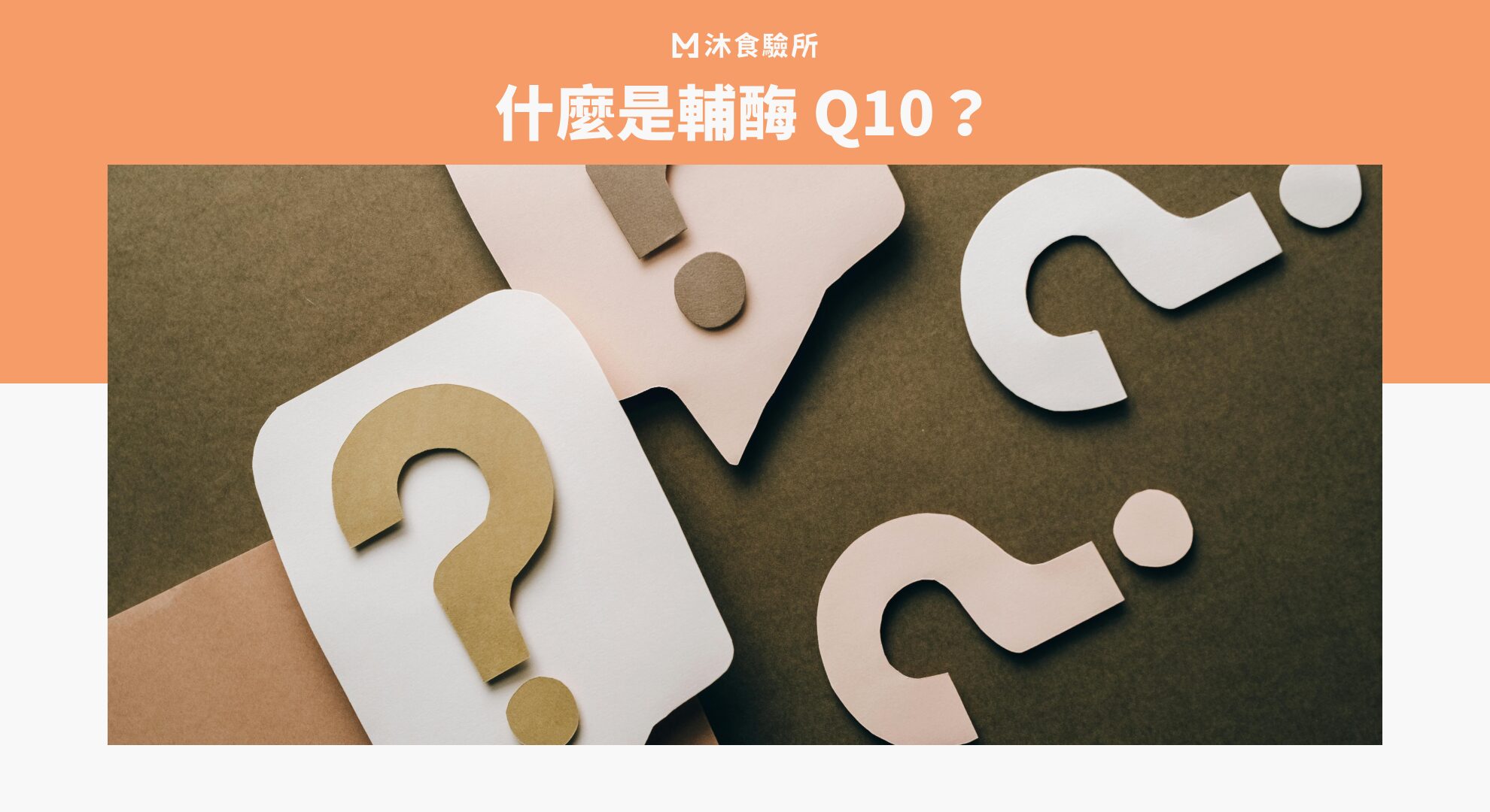 什麼是輔酶 Q10？