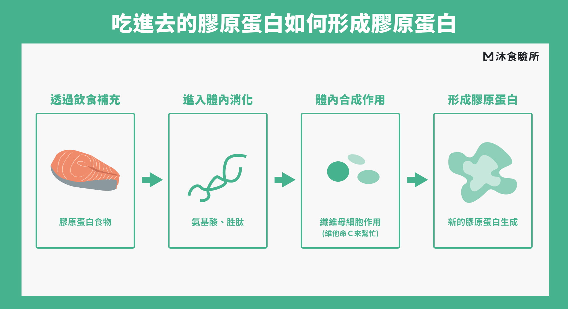 吃進去的膠原蛋白如何形成膠原蛋白 吃進去的膠原蛋白如何形成膠原蛋白