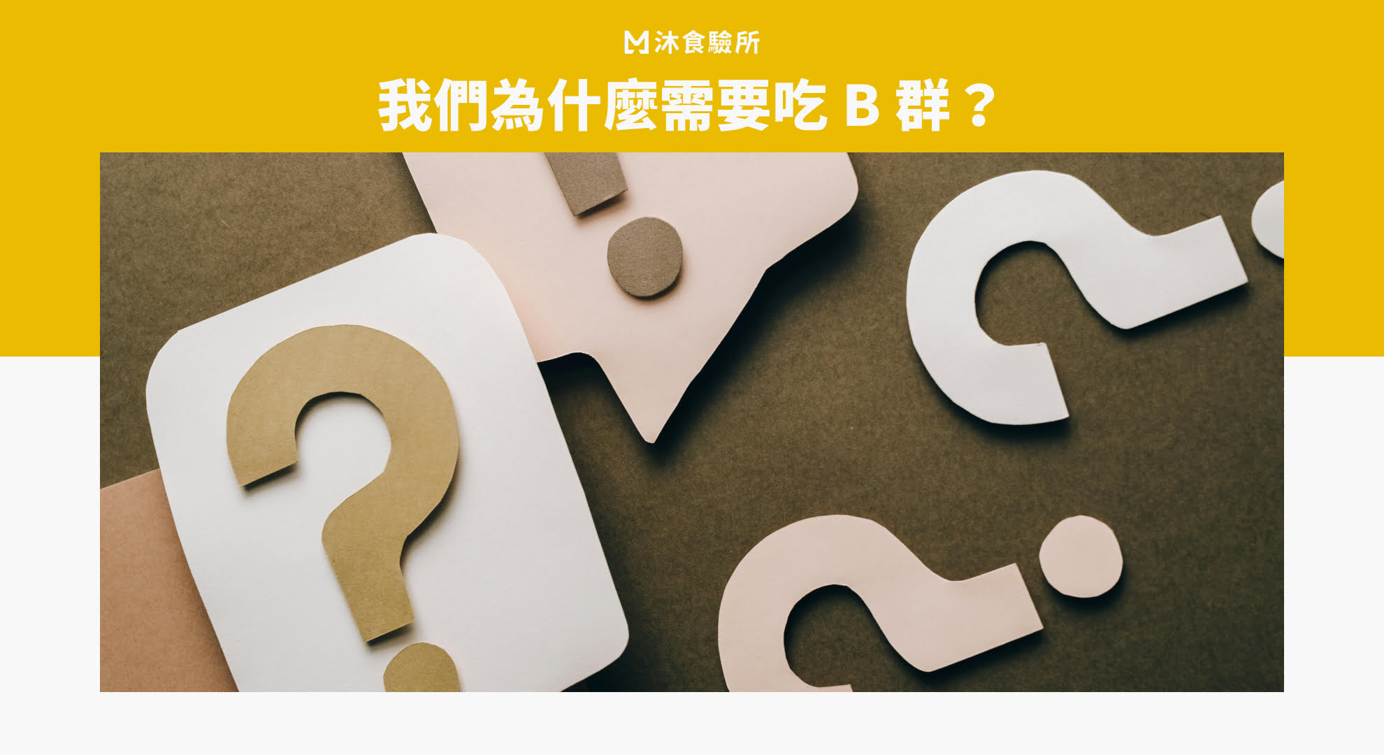我們為什麼需要吃 B 群？
