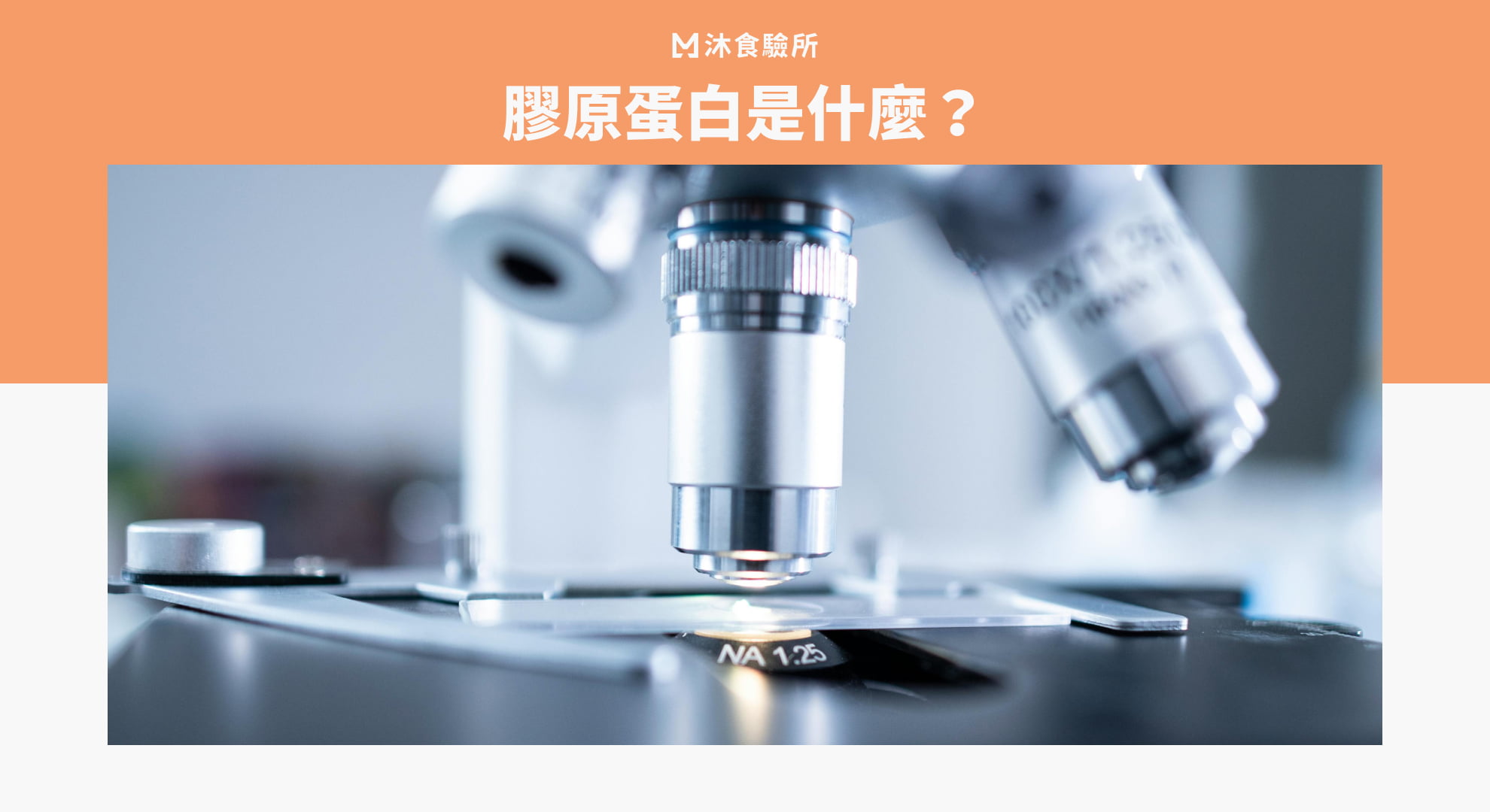 膠原蛋白是什麼？