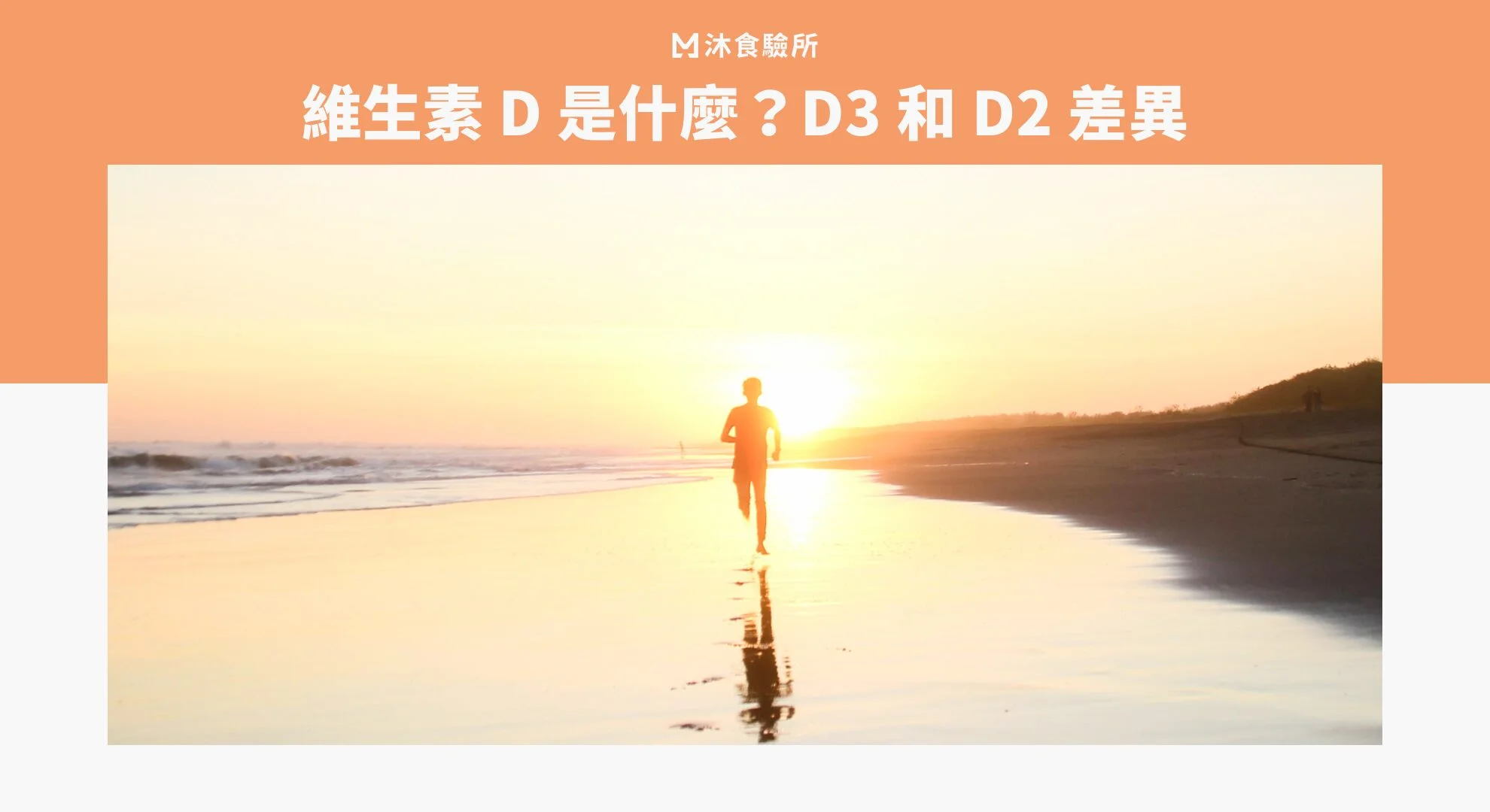 維生素 D 是什麼？D3 和 D2 差異