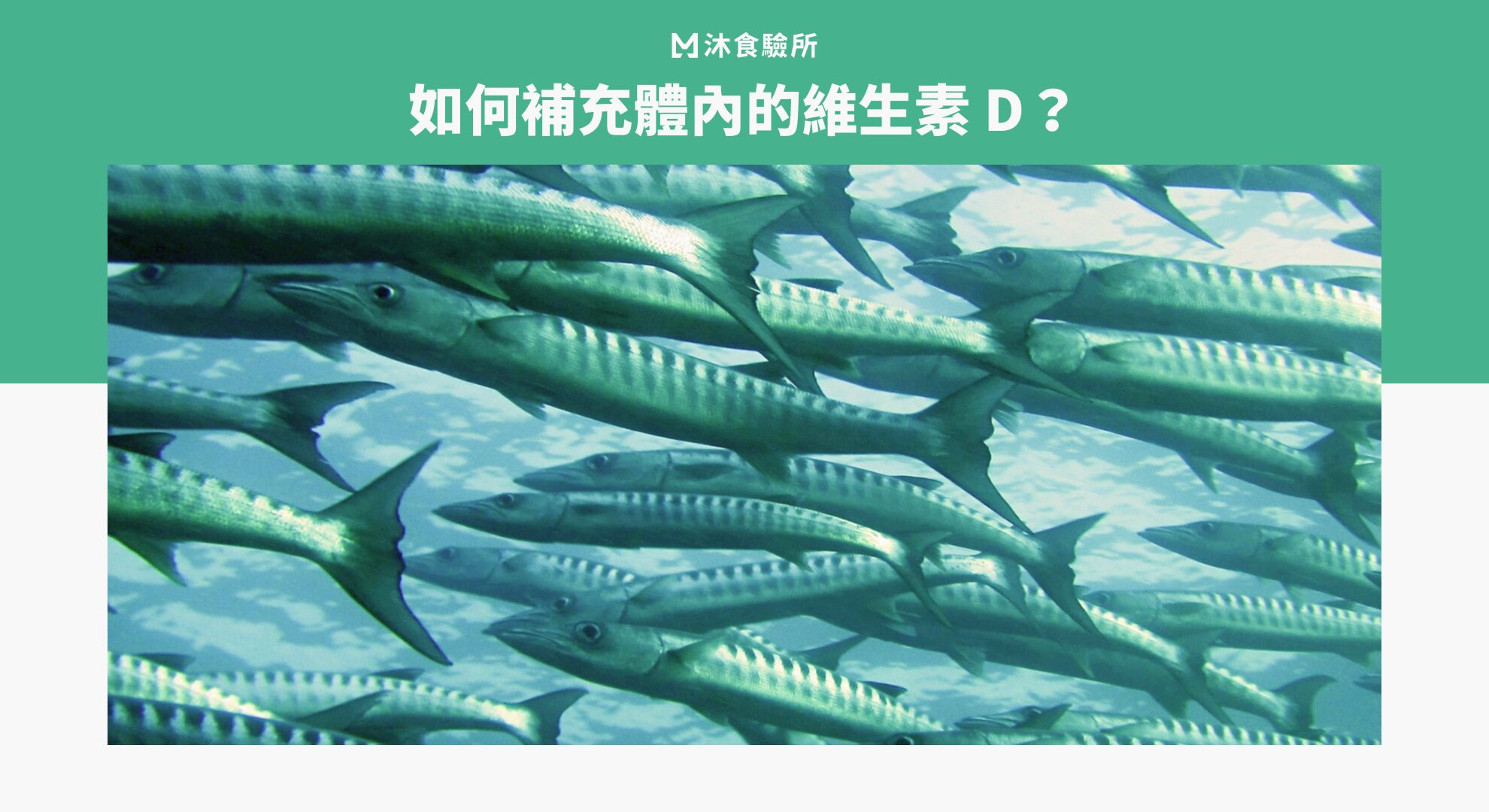 如何補充體內的維生素 D？