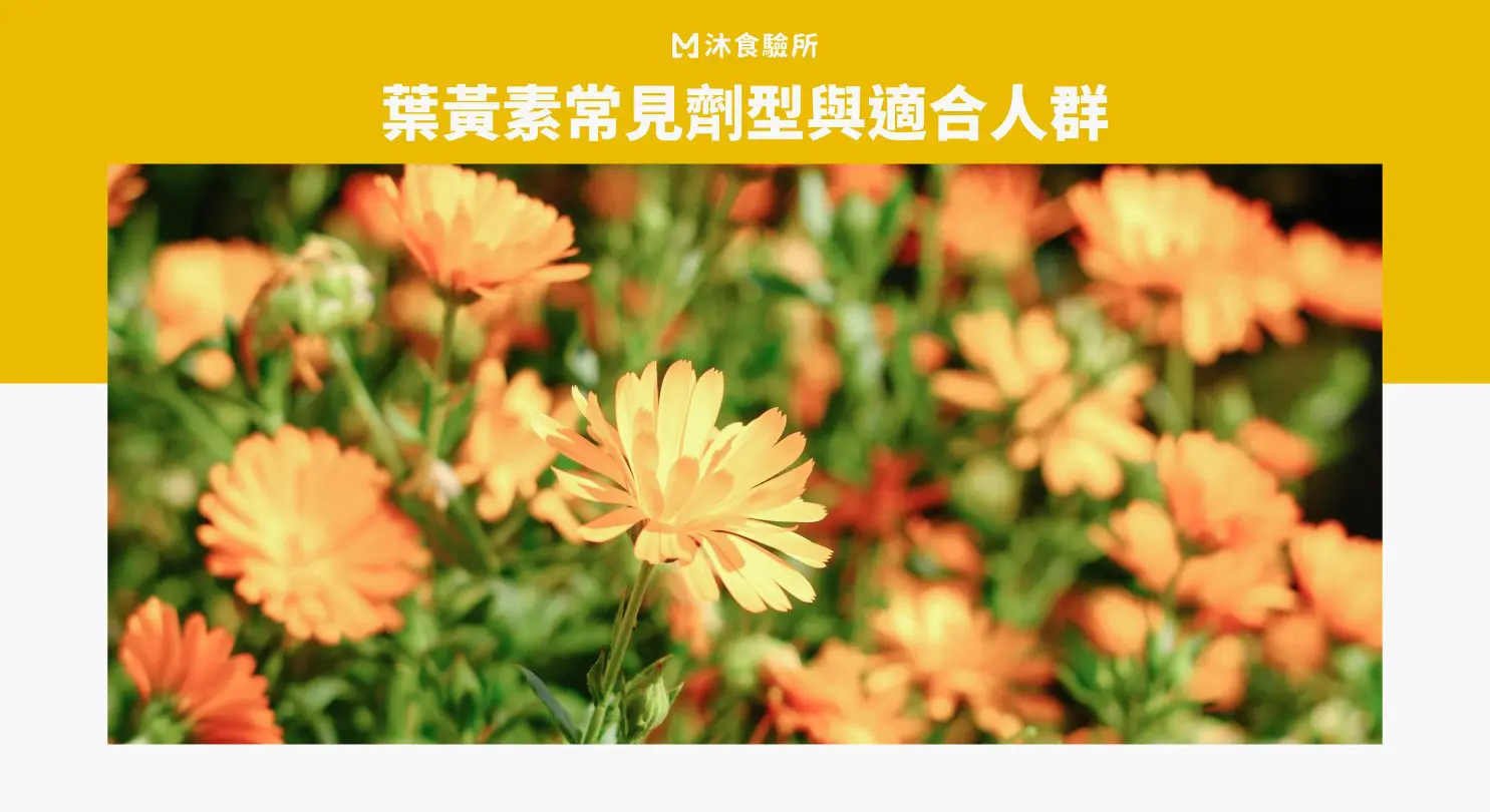 葉黃素常見劑型與適合人群